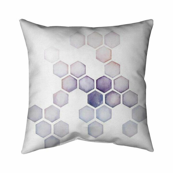 Begin Home Decor 20 x 20 in. Alveoli-Double Sided Print Indoor Pillow 5541-2020-AB67